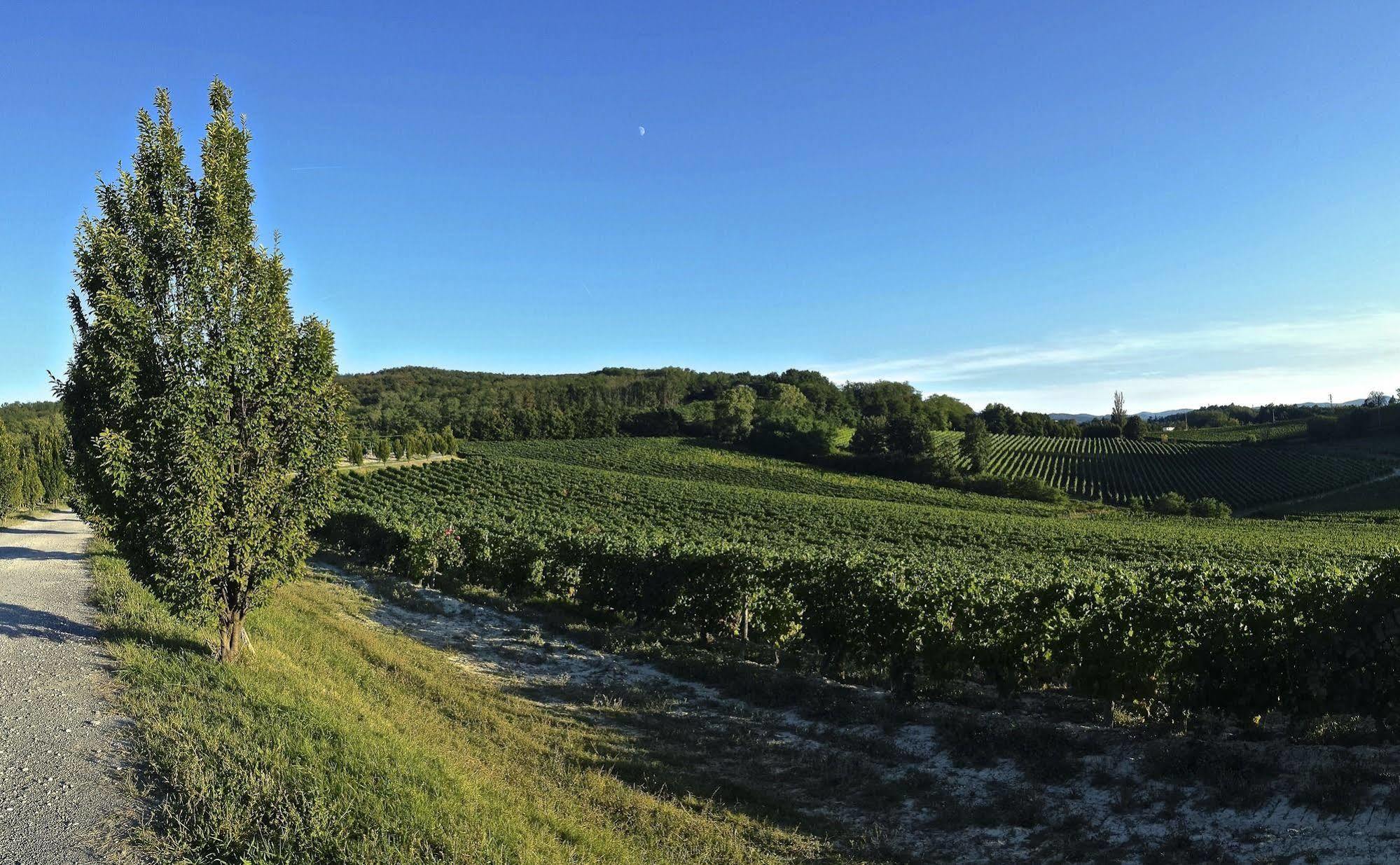 Tenuta La Meirana Gavi Exterior photo